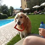 Eco Benacus Ξενοδοχείο 3*