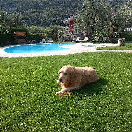 Eco Benacus 3* Μαλτσεζίνε