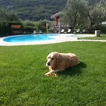 Eco Benacus 3* Malcesine