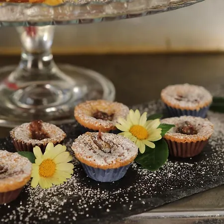 فندق Eco Benacus مالتشيزينيه