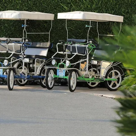 Eco Benacus فندق 3*