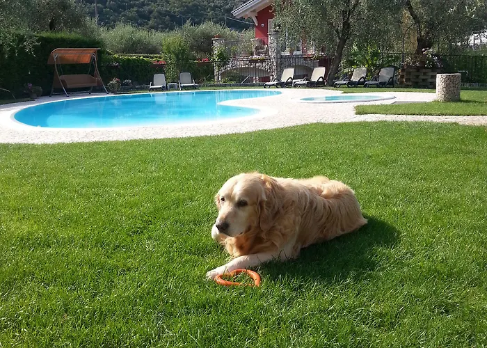 Eco Benacus 3* Malcesine