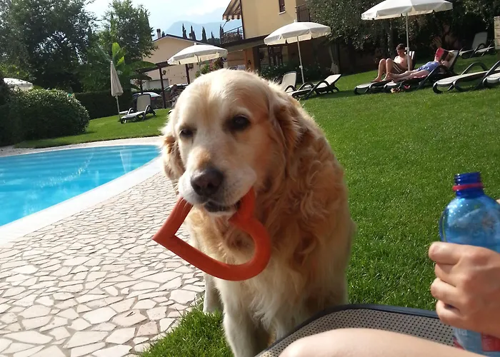 Eco Benacus Hotell 3*