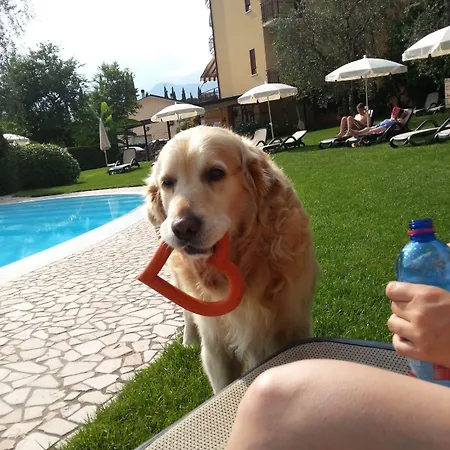 Eco Benacus Hotel 3*