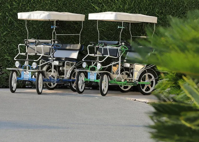 Eco Benacus Hotel 3*